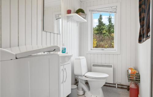 Bogø ByPet Friendly Home In Bog By With Kitchen的白色的浴室设有卫生间和窗户。