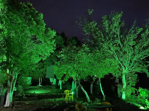 南卡希亚斯HOSTEL FAMILIA ZANATTA的绿灯照亮的树群