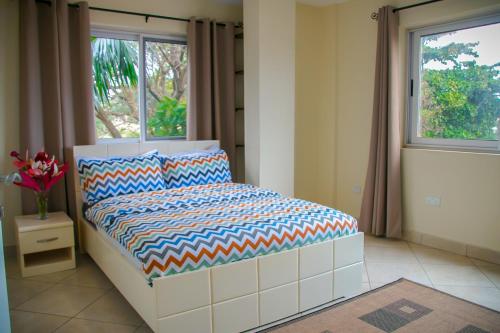 阿克拉Acquah Place Residences的一间卧室设有一张床和一个窗口