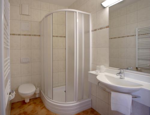 罗斯托克希迪迈克斯酒店的带淋浴、盥洗盆和卫生间的浴室