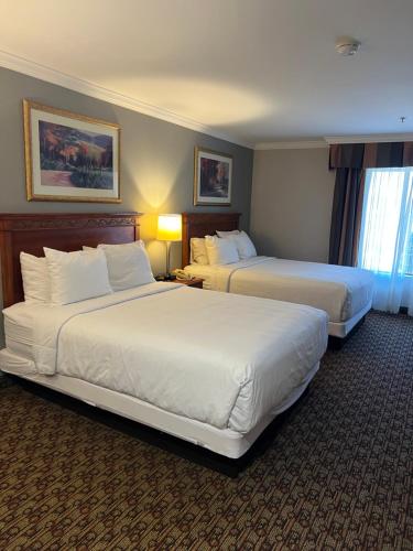 莫雷诺谷Hotel Xola的酒店客房设有两张床和窗户。