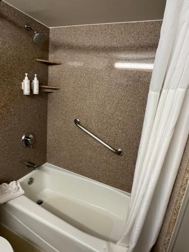 莫雷诺谷Hotel Xola的浴室设有白色浴缸,配有浴帘