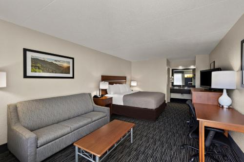 丹德里奇丹德里奇品质酒店的酒店客房配有一张床、一张沙发和一张书桌。