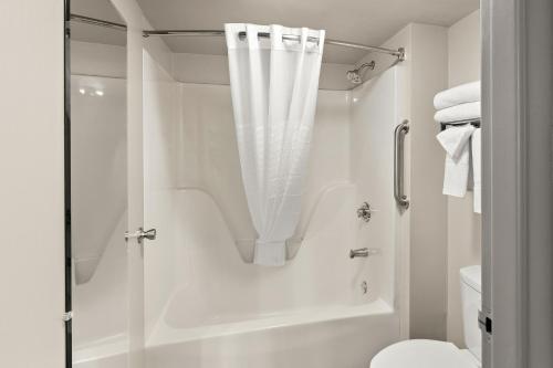 丹德里奇丹德里奇品质酒店的带淋浴和卫生间的白色浴室