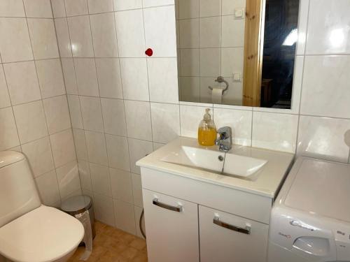 VuoriniemiVilla Saimaa的一间带水槽、卫生间和镜子的浴室