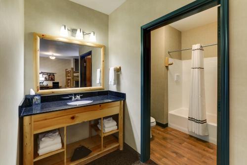 苏城Stoney Creek Hotel Sioux City的一间带水槽和镜子的浴室