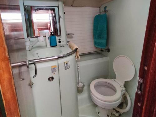 GourbeyreBoat Maeva的一间带卫生间和水槽的小浴室