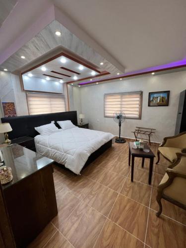 瓦迪穆萨Petra balcony apartment的一间卧室配有一张大床和一张沙发
