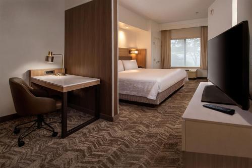 黑格斯敦黑格斯敦春季山丘套房酒店的酒店客房配有一张床、一张书桌和一台电视。