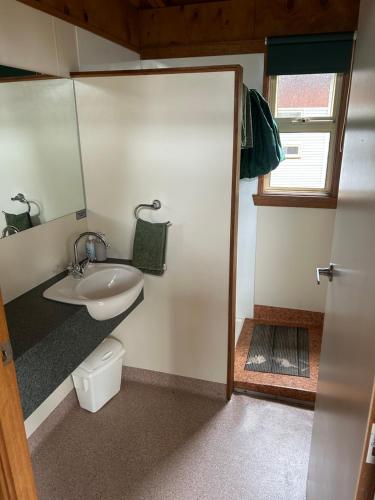 新诺福克塔斯马尼亚露营地的一间带水槽和镜子的小浴室