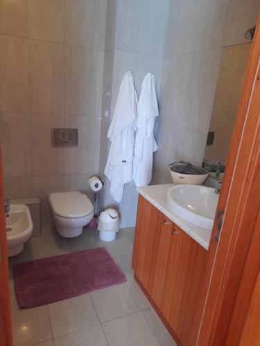 拉戈阿Azoresaccommodation的一间带卫生间和水槽的浴室