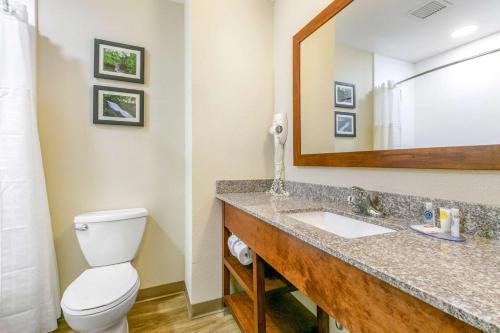Van BurenComfort Inn and Suites Van Buren - Fort Smith的浴室设有卫生间和带镜子的盥洗盆