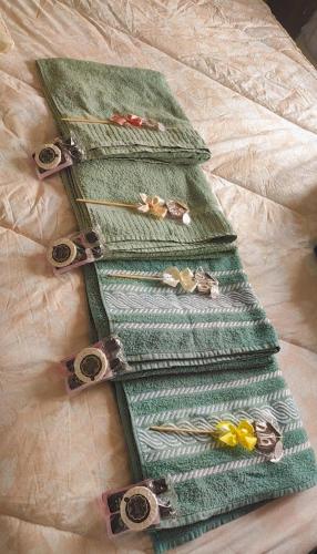 特雷齐蒂利亚斯Studio Marangoni Hospedagem的一组四种绿色的领带,床上有钉子