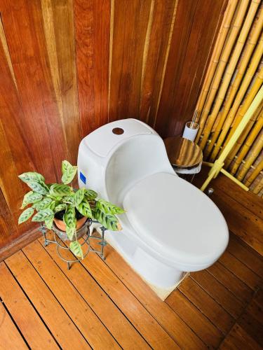BuenavistaEco Glamping Cordillera的浴室设有卫生间,内有植物