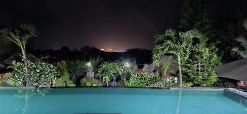 努沙杜瓦安靖别墅酒店的一座拥有树木和棕榈树的夜间游泳池