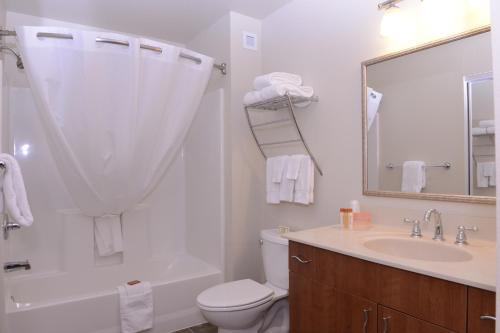 海恩斯Aspen Suites Hotel Haines的一间带水槽、卫生间和镜子的浴室