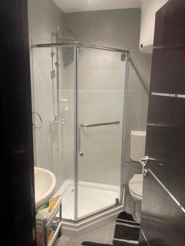 科帕奥尼克Ski apartman - Mujen classic的设有带卫生间的浴室内的淋浴间