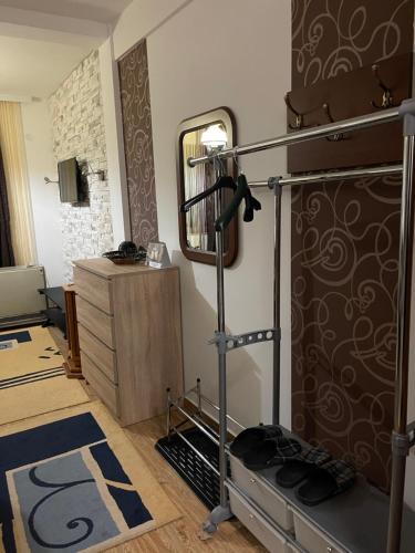 科帕奥尼克Ski apartman - Mujen classic的一间带跑步机和镜子的客厅