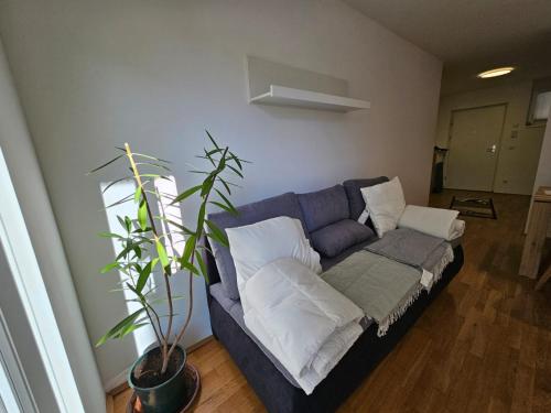 因斯布鲁克Stylish Apartment in Innsbruck + 1 parking spot的客厅里摆放着蓝色的沙发,上面有植物