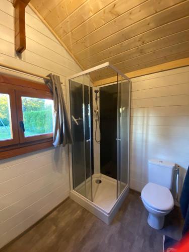 LégnaLe petit chalet du mouralet的一间带卫生间和玻璃淋浴间的浴室