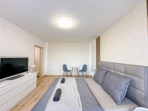 布拉迪斯拉发Apartmán Simcity Bratislava的配有床、电视和椅子的房间