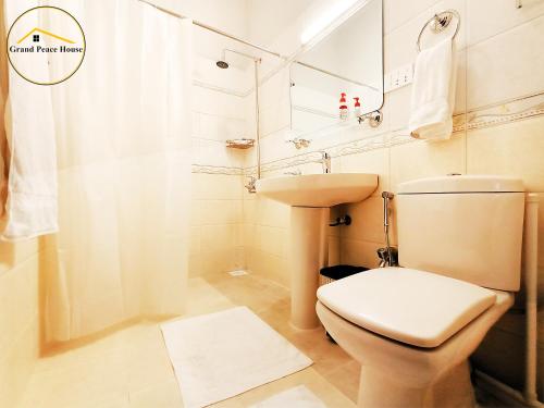 伊斯兰堡Grand Peace House I的浴室配有卫生间、盥洗盆和淋浴。