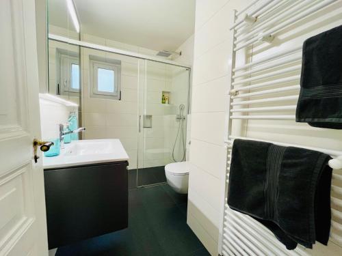 纳沙泰尔A La Côte的白色的浴室设有水槽和卫生间。