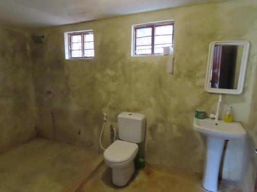 帕杰Drifters Zanzibar的一间带卫生间和水槽的浴室以及两个窗户。