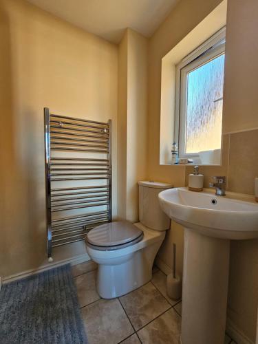 SacristonHolly Crescent, Sacriston DH7的一间带卫生间、水槽和窗户的浴室