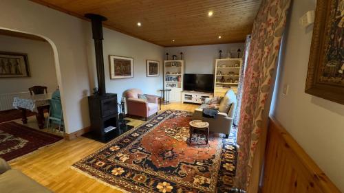 蒂珀雷里Cosy home in a beautiful valley的享有空中景致的客厅,客厅铺有地毯