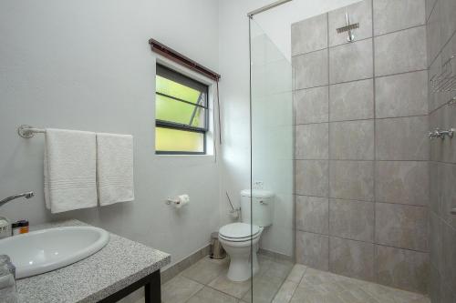 玛洛斯帕克ThornForest Luxury Bush Lodge的浴室配有卫生间、盥洗盆和淋浴。