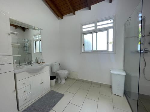圣弗朗索瓦Cocooning Paradise的一间带水槽和卫生间的浴室以及窗户。