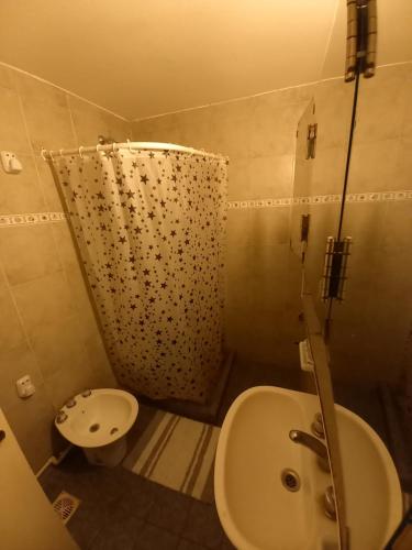 贝纳多图埃托Duplex Alvear 112的带淋浴、卫生间和盥洗盆的浴室