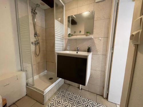 沙伯伊Le Limouche / Vercors - Parking的一间带水槽和淋浴的浴室