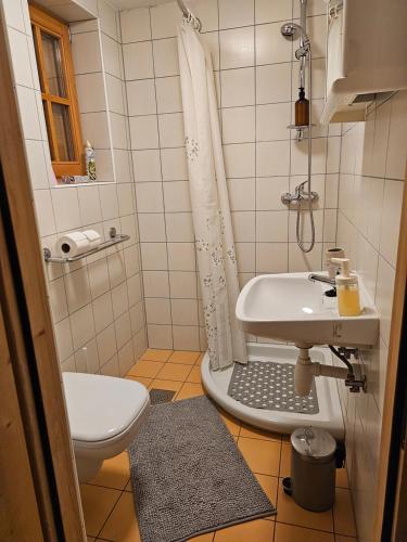Gornji KoncovčakWinery & Rural Holiday Home Hren Hiža - Sveti Martin na Muri的一间带卫生间和水槽的小浴室