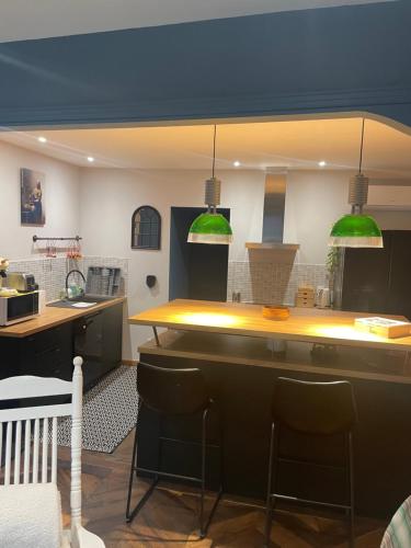 加普L’appart chic gapençais的厨房配有位于柜台上的绿色吊灯