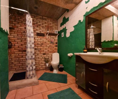 ŠvenčionysGluosnių vila - Adutiškio pirtis的绿色浴室设有卫生间和水槽