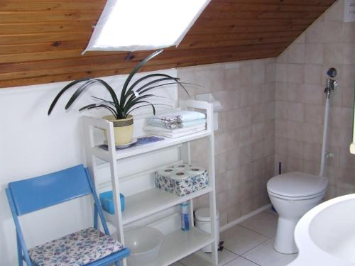 科马罗姆Czanek Apartman的一间带卫生间的浴室和架子上的植物