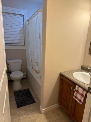 哈利法克斯Nitomik Private Suite的浴室配有卫生间、盥洗盆和淋浴。