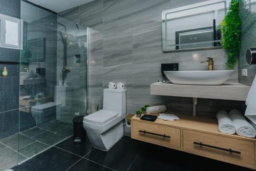 奥拉涅斯塔德Hidden Villa Aruba的浴室配有卫生间、盥洗盆和淋浴。