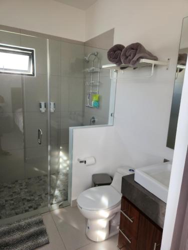 圣何塞德尔卡沃Casa NUEVA ¡San José del Cabo!的浴室配有卫生间、淋浴和盥洗盆。