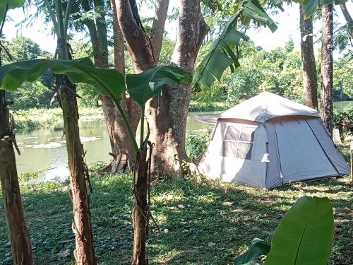 Tad Lo - FANDEE ISLAND - Bolaven Loop Pakse