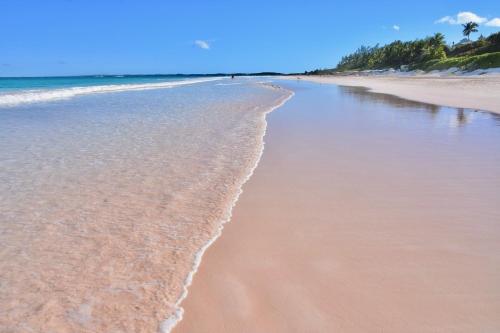 哈勃岛Conch Shell Harbour Island home的海浪从海洋流入的沙滩