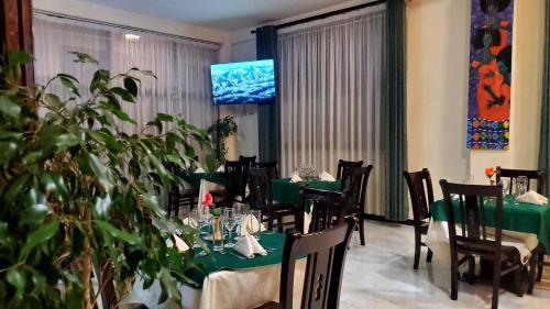 巴赫达尔Yiganda Hotel - Ethiopia的一间带绿色桌椅和电视的用餐室