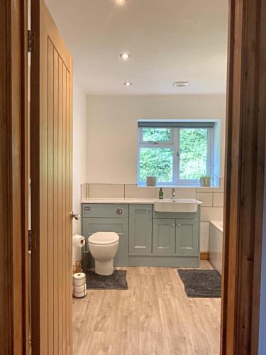 奥斯威斯3 Bedroom Bungalow in Llanrhaeadr Ym的一间带卫生间、水槽和窗户的浴室
