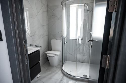 维多利亚Cittadella View Penthouse with Jacuzzi的带淋浴、卫生间和盥洗盆的浴室