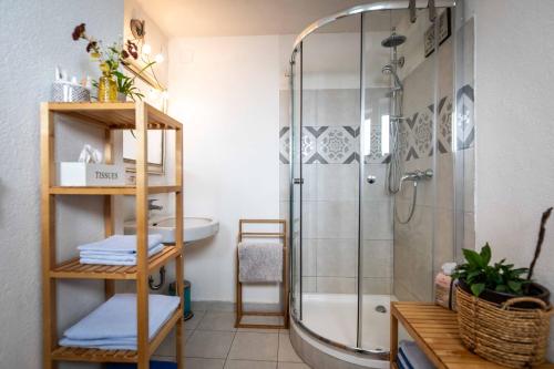 海利根布卢特Alpinside Appartements的带淋浴和盥洗盆的浴室