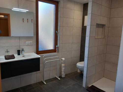 科尔马Gite Schlossberg的一间带水槽和卫生间的浴室