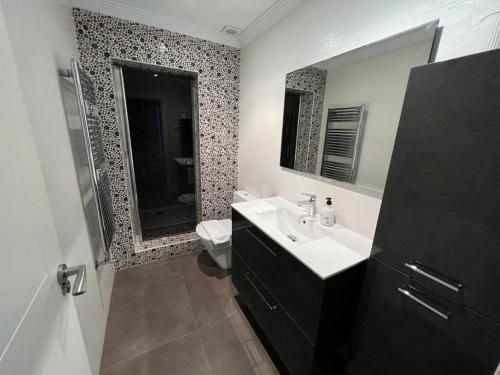 贝梅奥Tonpoigane的一间带水槽、卫生间和镜子的浴室