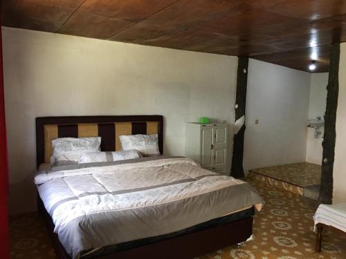 图克图克Hisar Guest House的一间卧室配有一张大床和木制床头板